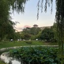 화서맨션 | 행궁동 데이트 코스 하루 일정으로 가볼만한곳