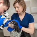 경주동물메디컬센터 이미지