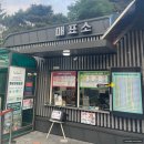 예당호 가족여행 :: 모노레일 추천! 예당저수지 출렁다리 한바퀴 구경하기 후기!