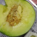통통과일 이미지