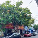 (주)영동여행사 | 나트랑 여행 중 햇볕에 탄 피부 살린 나트랑시내마사지샵 린다 스파 후기