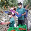 꿈꾸는 농장 이미지