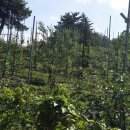 백경농장 이미지