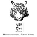 범과같이 이미지