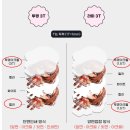 오로라 태권도장 | 양면 아크릴 키링 제작하기_블랭커팩토리 후기 (ft.분실방지 키링)