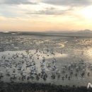 낙동강관리본부-1 이미지