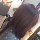 예쁘다헤어샵 이미지