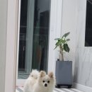 살랑가협동조합 이미지