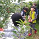 풍성농장 이미지