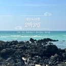 레몬비 곽지해변점 | 제주도 2박3일 여행비 3일차 | 해뜨면 더 잘 놀아요 (오아시스80카페, 곽지해변서핑, 흑돼지특수우위맛집)
