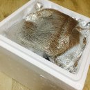 펫밀리레스토랑 이미지