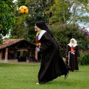 미로월드 이미지