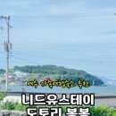 스테이 도토리 이미지