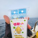 영원히사랑회 | 갑오징어 낚시 제주 히얼호 배낚시 후기
