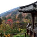 금빛바람 이미지