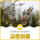 교촌 경로당 | 고창여행 봄소식을 알려주는 &#39;교촌마을&#39;