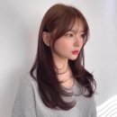 수진2호 이미지