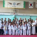 국기태권도 이미지