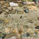 언덕나무펜션 이미지