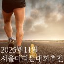 11215-자양2-972 | 11월 서울 마라톤 대회 추천!! 2025 한강의기적 마라톤 10km 마라톤 초보자 준비하기