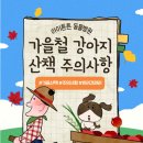 튼튼동물병원 이미지