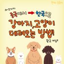 방주동물병원(출장전문) | 중국에서 한국으로 애완동물(강아지, 고양이) 데리고 오는 방법 A~Z까지 정리
