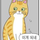 합격뽑기 이미지