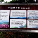 솔터힐링 숲체험원 이미지