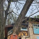 벚꽃길(에덴) 주유소 이미지