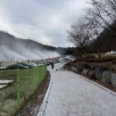 2022-00008 | 22/23 홍천비발디파크 : 스키장 리프트권 셔틀버스 렌탈샵 총정리