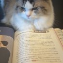 네오어학학원 | 씀씀이가 벌이보다 큼 ; ;