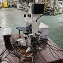 라이코스 이미지