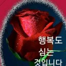 그시절7080 이미지
