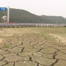 유일태양광발전소 이미지