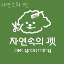 자연속의 펫 이미지