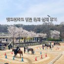 (주)더파크모터스 | 과천 경마공원 벚꽃 렛츠런파크 서울 벚꽃축제 후기ㅣ주차·원데이패스·먹거리