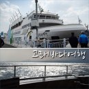 7월21일(일)울산고래바다여행선/태화강십리대밭/경주연꽃 이미지