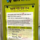 더블7080 | 나트랑 1~2일차 : 무이네 사막투어, 알마 리조트, 담시장, 반미판, cccp커피, 65번 과일가게