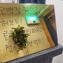반가워단백질 이미지