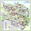세종 베어트리파크 | 아이, 친구와 하루 보내기 좋은 수목원, 세종수목원 이상이에요.