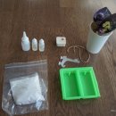 키니캔들 | 석고방향제 DIY: 키니캔들 드라이플라워 석고방향제 만들기 후기