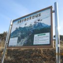 삼오약국 Daum카페