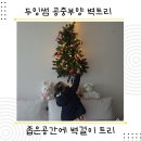 듀잉두잉