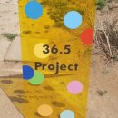 프로젝트36.5 이미지