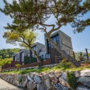 카누720애견풀빌라 이미지