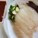 플러피독 이미지