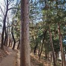 연동시장 이미지