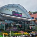 강남꽃화원 이미지