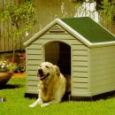 Dog House 이미지