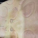 백아한방병원 이미지